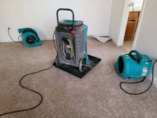 Best Residential water damage restoration  in Greentown, IN