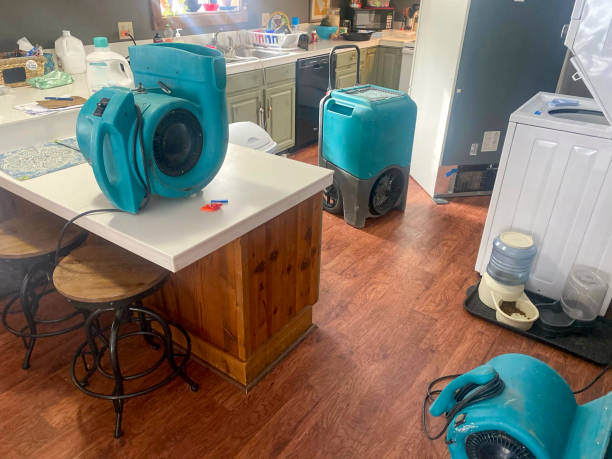 Best Fire Damage Restoration  in Greentown, IN