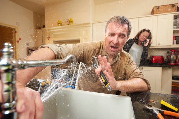 Best Water damage contractors near me  in Greentown, IN